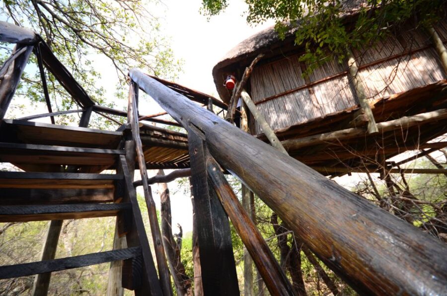 6 Best Tours In Kruger National Park