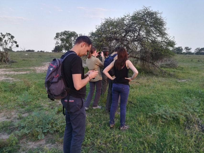 Kruger National Park: 3-Hour Walking Safari