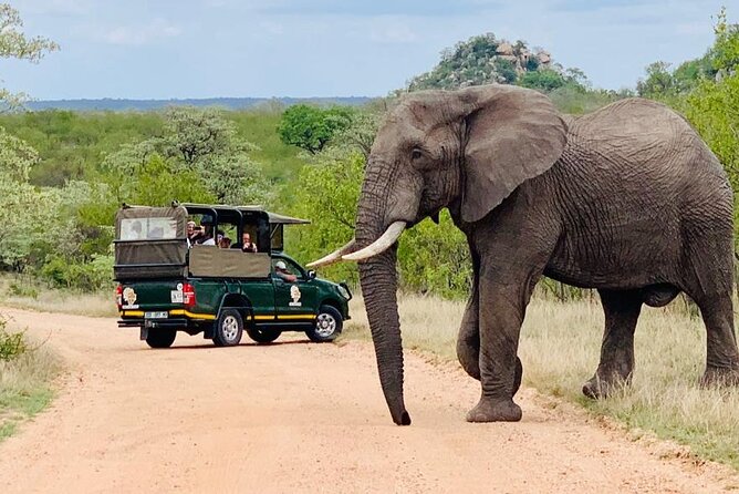 Kruger National Park Afternoon Private Safari