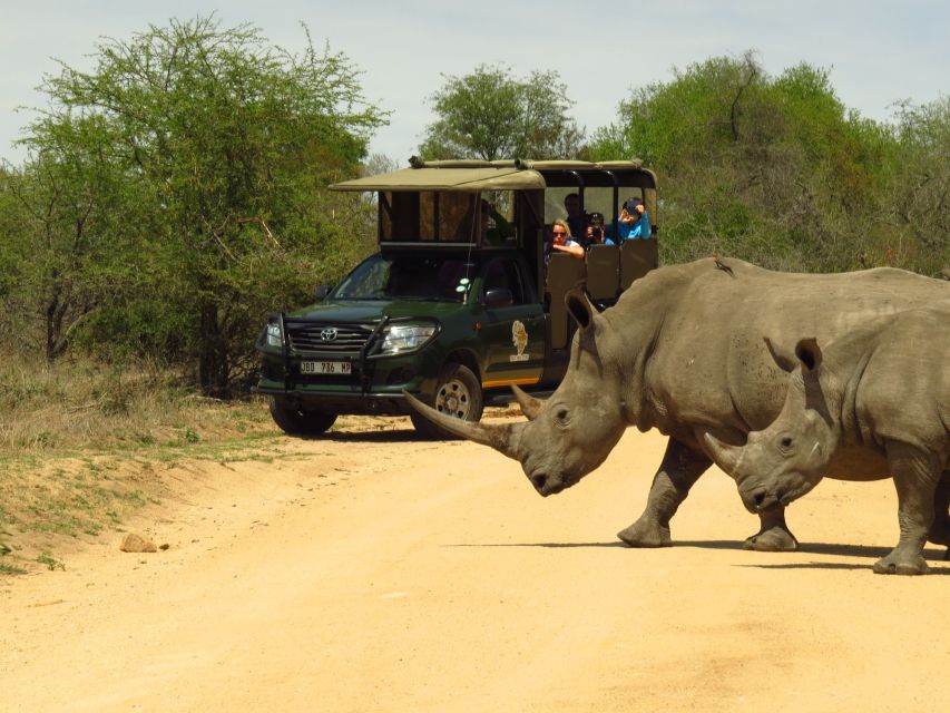 Kruger National Park: Morning Safari