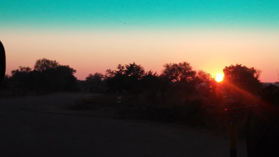 Kruger National Park Morning Safari