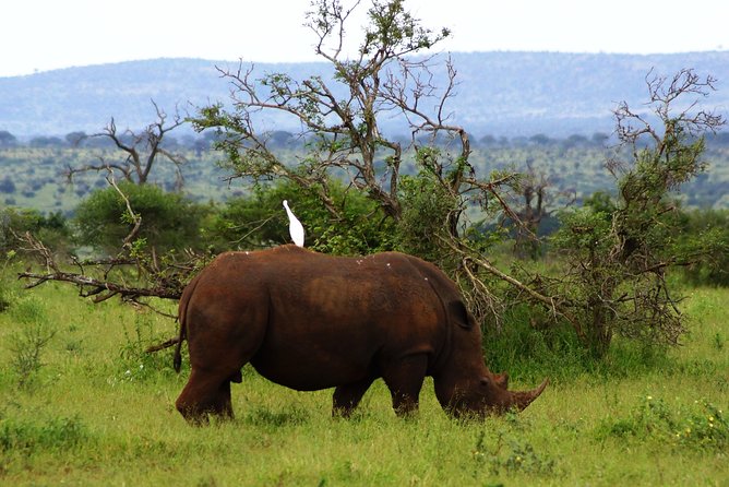 5 Best Safari Tours In Maputo