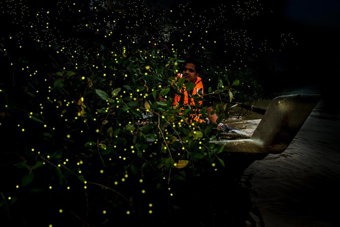 Kuala Selangor Fireflies - Batu Caves Temple- Malawati Hill DayTour With Dinner