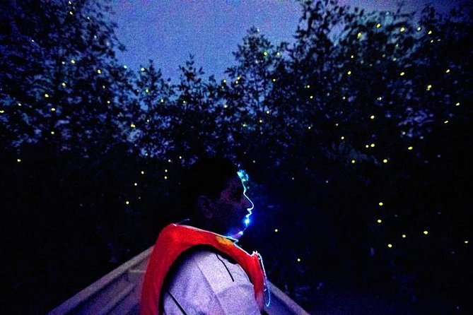 Kuala Selangor Firefly Boat Tour With Roundtrip Transfer From Kuala Lumpur