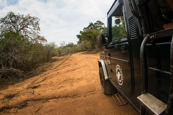 Kumana National Park Half Day Jeep Safari - Overview and Experience