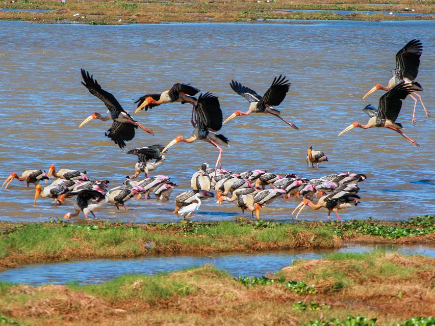 Kumana National Park | Power Traveller