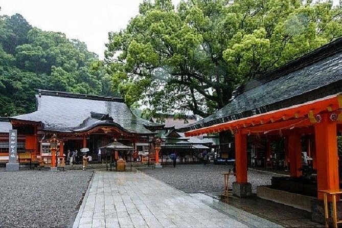 Kumanokodo 1 Day Walking Tour