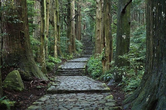 Kumanokodo 2 Day Walking Tour From Osaka - Pickup Locations