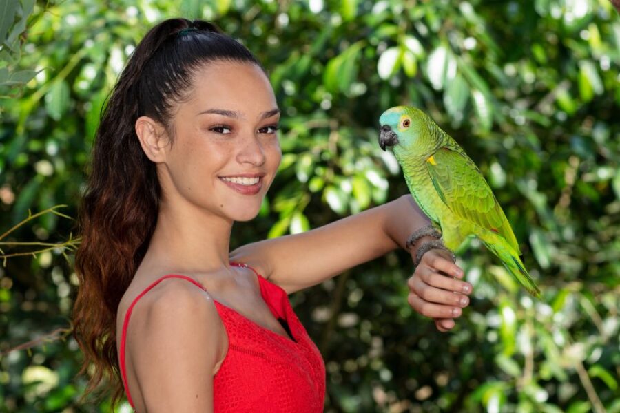 Kuranda: Birdworld Entry Ticket - Experience Overview
