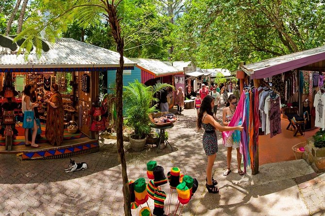 Kuranda Day Trip From Port Douglas by Bus