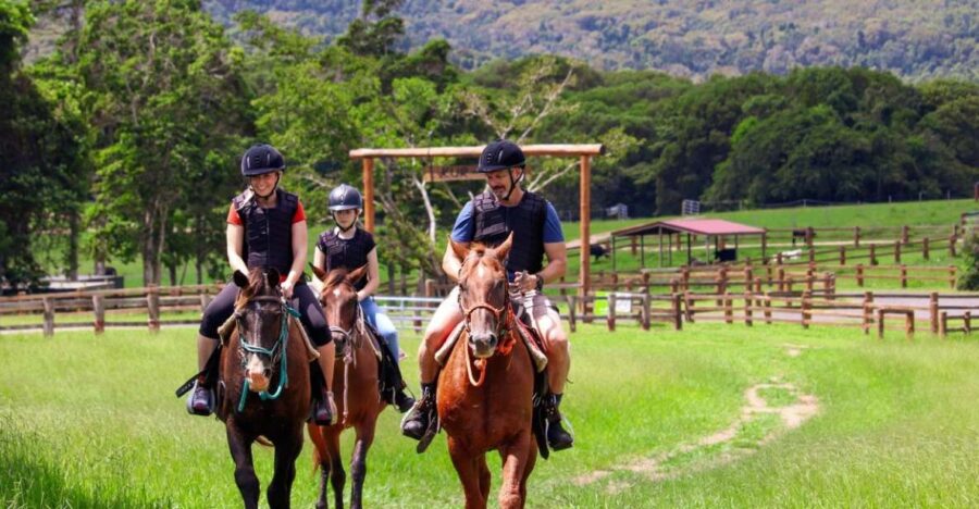 Kuranda Half Day With Petting Zoo & Horse Trail Ride Tour