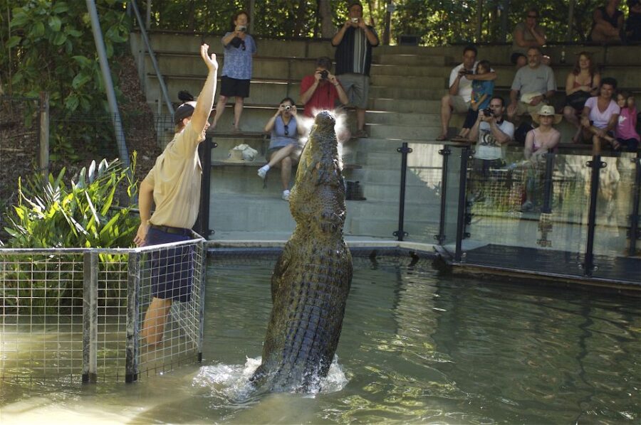 Kuranda & Hartleys Crocodile Adventures