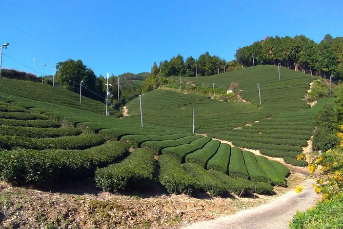 5 Best 2 Day Tours In Kyoto