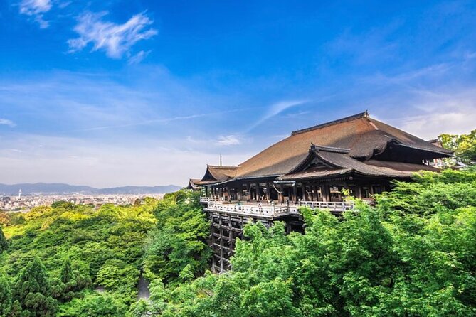 Kyoto, Osaka, Nara Full Day Tour by Car English Speaking Driver - Tour Details