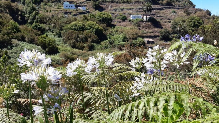 La Gomera: Hamlets of the North Hiking Route Tour
