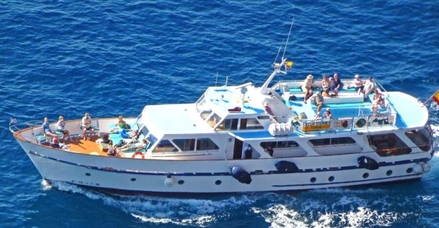 La Gomera: Whale Watching Tour on a Vintage Boat