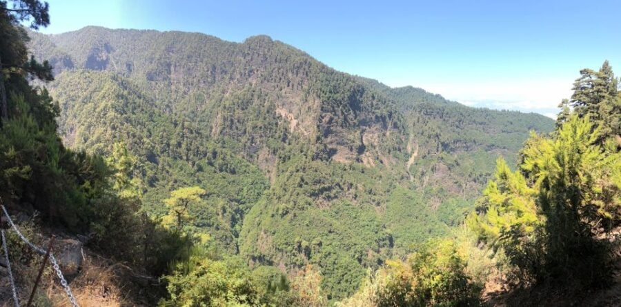 La Palma: Return Bus Transfer to Marcos Y Cordero Springs