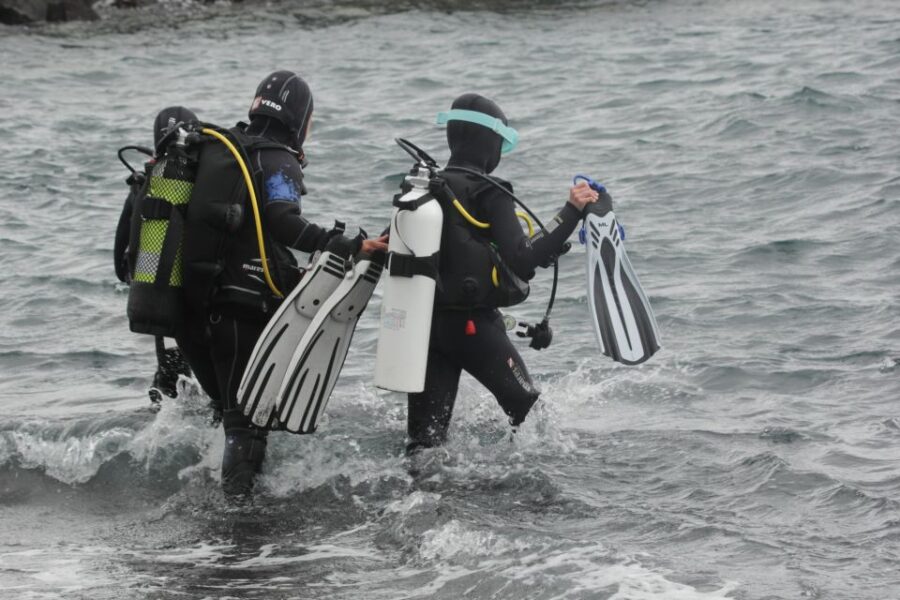 2 Best Scuba Diving Experiences In La Palma