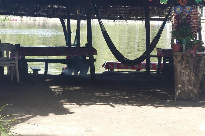 Lagoon Ride AfroMex Village Baby Turtle Release &Croc Farm Visit - Overview of the Tour