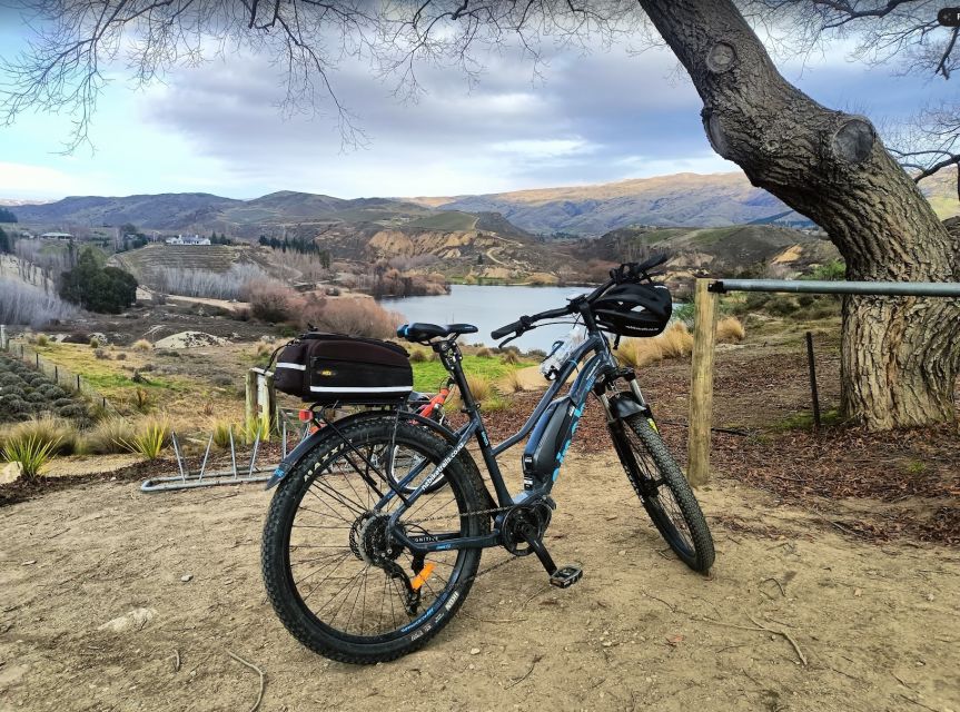 Lake Dunstan Trail – Bike/Ebike Hire & Return Luxury Shuttle