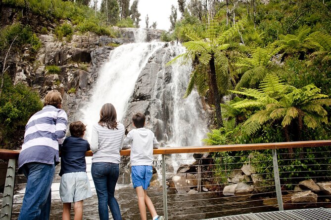 Lake Mountain Snow Trip Including Yarra Valley Chocolaterie From Melbourne - Tour Overview