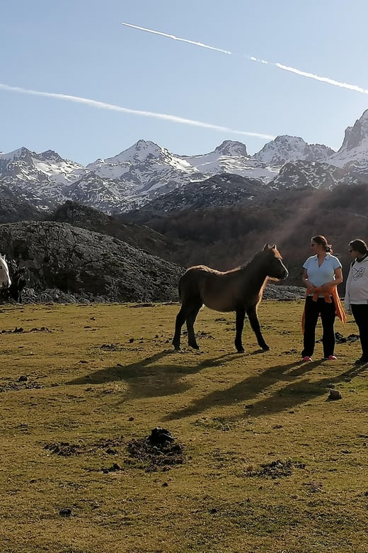 Lakes of Covadonga: Mountain Route for All Audiences