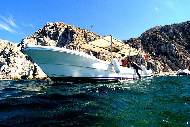 Lands End Sightseeing Boat Tour in Los Cabos - Sightseeing Tour Highlights