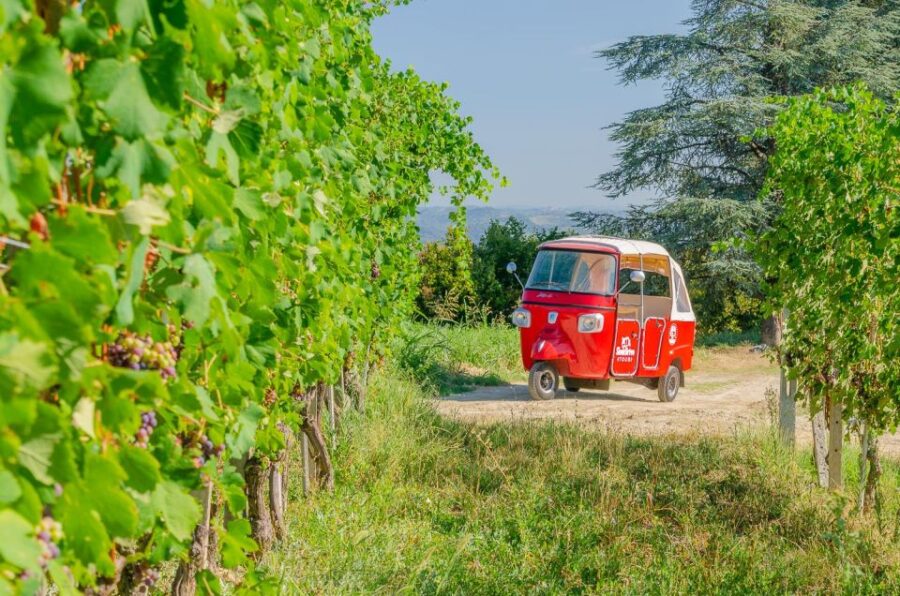Langhe Tour by Ape With a Delicious Barolo Wine Tasting
