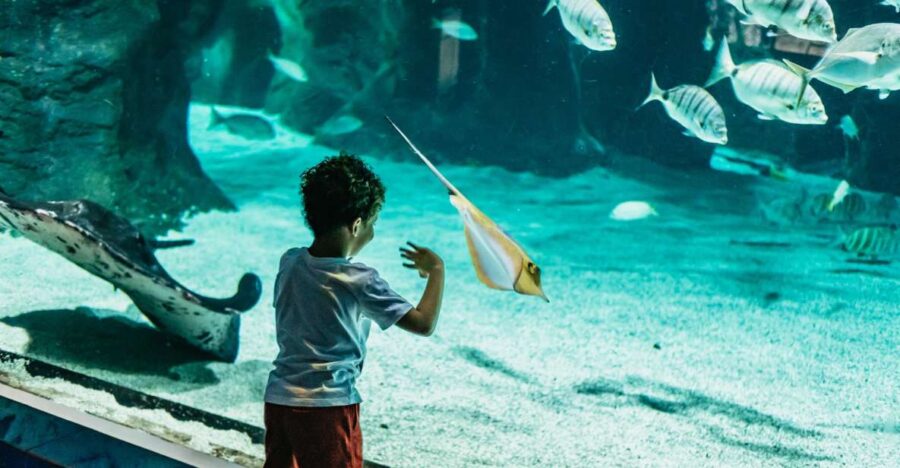 Lanzarote: Aquarium Entry Ticket
