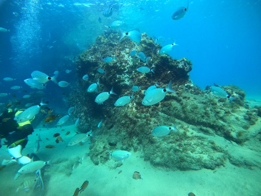 Lanzarote: Scuba Diving for Beginners - 1 Dive - Activity Details