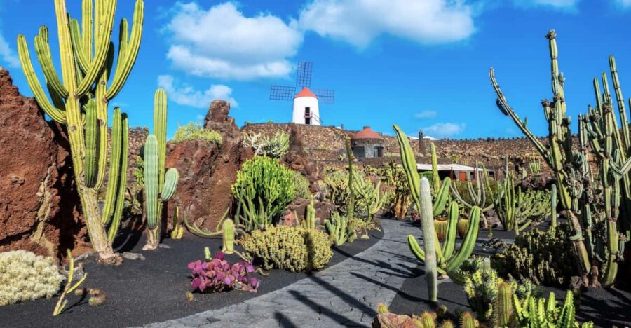 Lanzarote: The Cactus Garden Entry Ticket