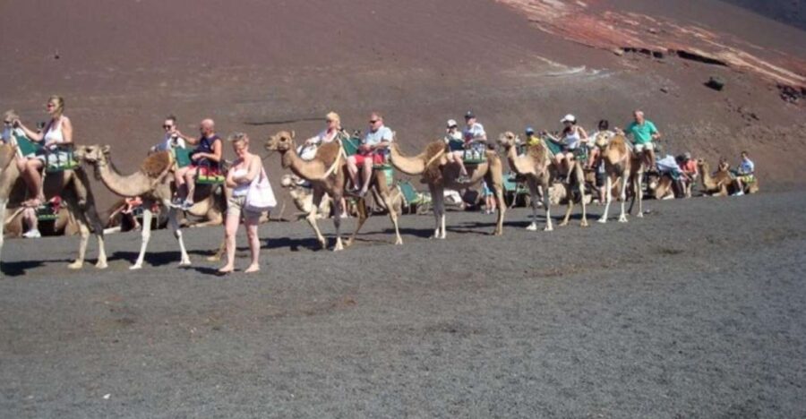 Lanzarote: Timanfaya National Park Tour