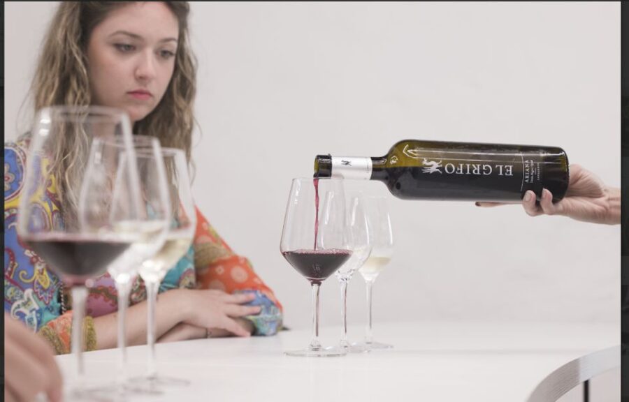 Lanzarote: Travel Through El Grifo Winery World - Activity Overview