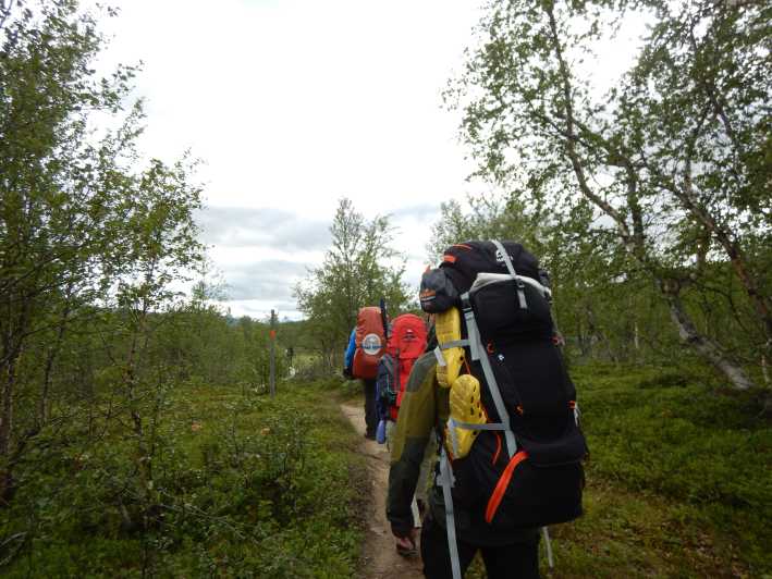 Lapland: Three Day Trekking in the Swedish Highlands - Overview and Pricing
