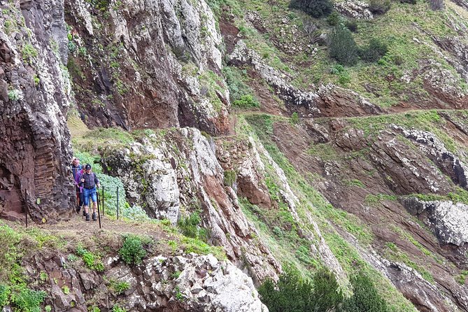 9 Best Walking Tours In Funchal