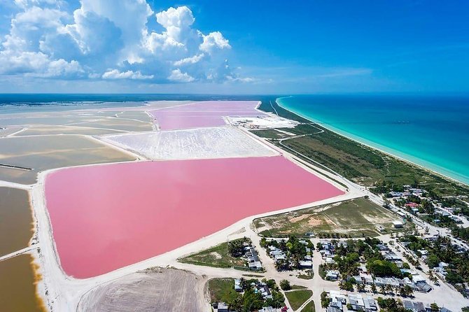 Las Coloradas Tour! Boat Ride, Lunch & Rio Lagartos From Cancun - Tour Overview