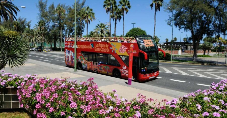 10 Best City Tours In Gran Canaria