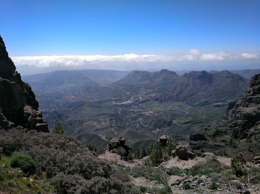 Las Palmas: Maspalomas to the Tejeda Mountains Grand Tour