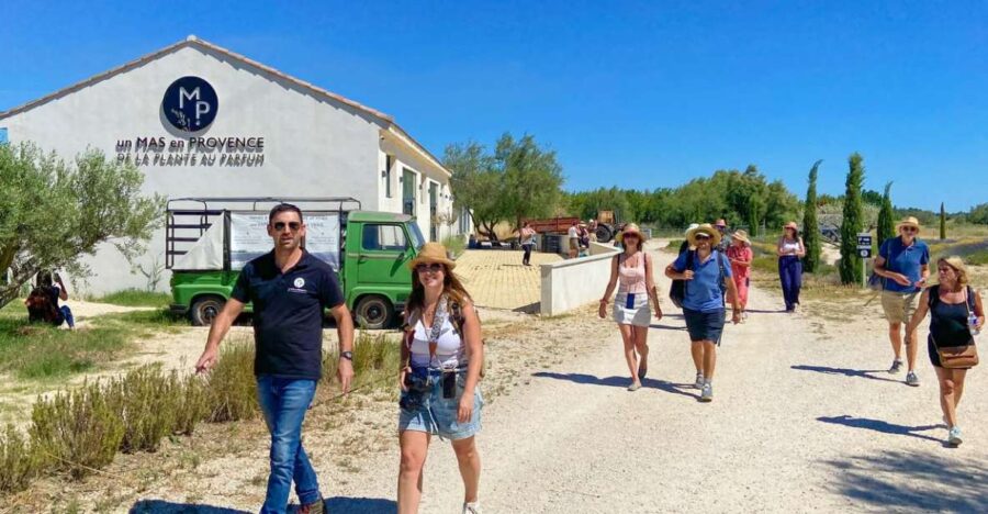 Lavender Field & Distillery Tour Between Nimes & Arles