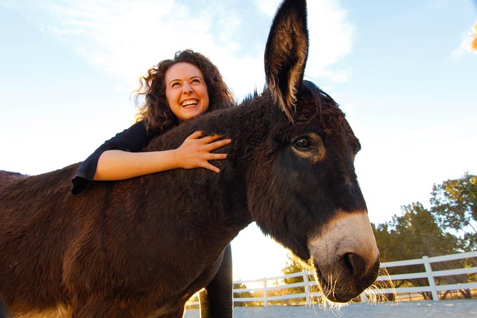 Leadership & Mindfulness Retreat With Horses – Individual & Group