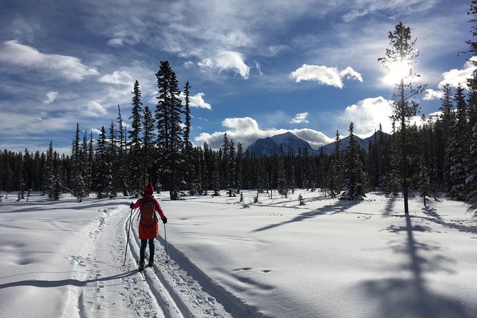 Learn to Cross Country Ski in Lake Louise - Overview of Lake Louise
