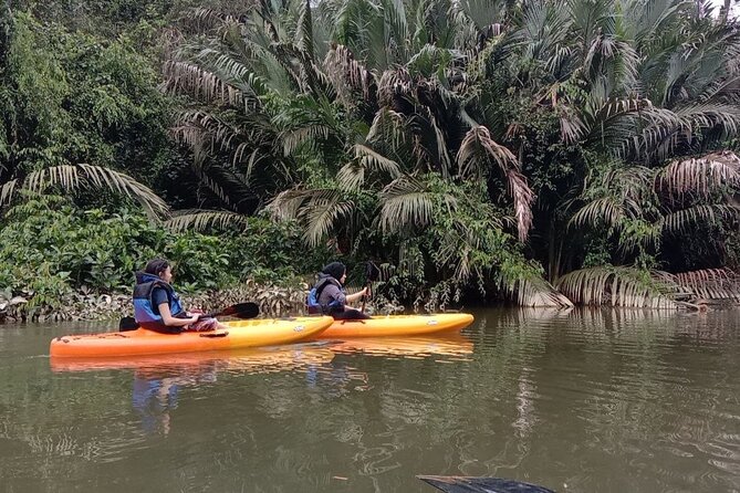 Lebam River Kayaking Adventure