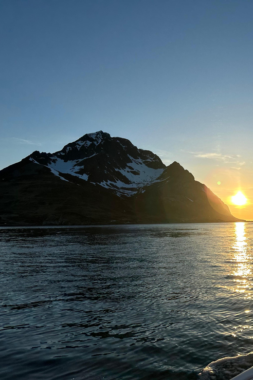 4 Best Cruises And Boat Tours In Leknes