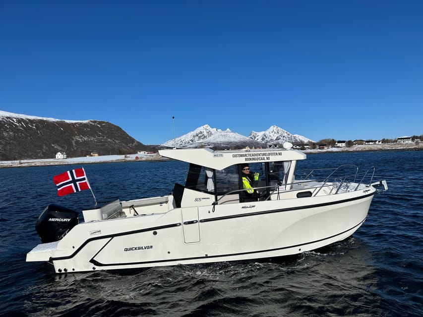 Leknes: 4 Hours Private Exclusive Boat Sightseeing