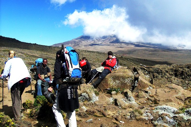 Lemosho Route 8 Days 7 Nights/Kilimanjaro Climb