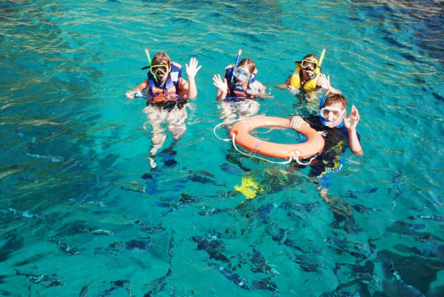 LEstartit: Medas Islands Boat Tour and Swim in Montgrí Park