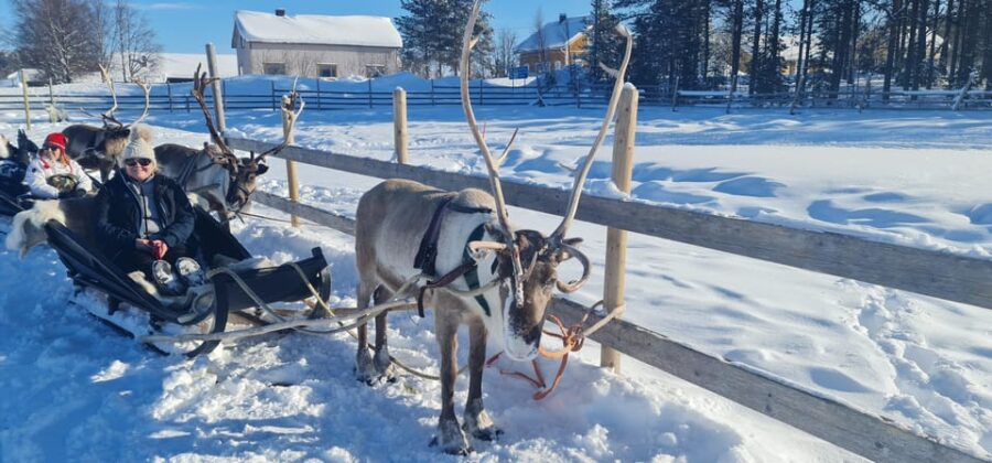 Levi: Canoeing Day Trip With Reindeer Farm Visit