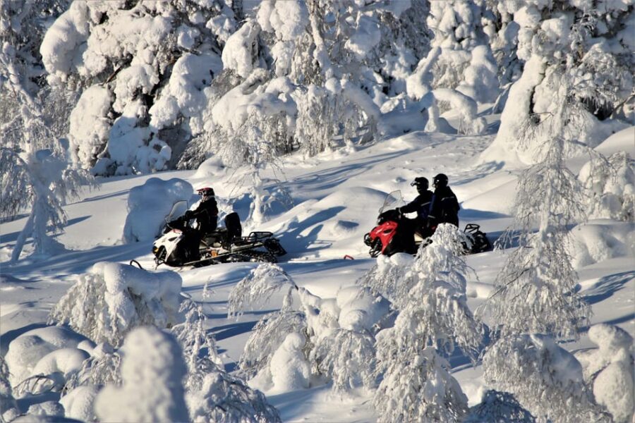 Levi: Easy Snowmobile Safari Into the Nature