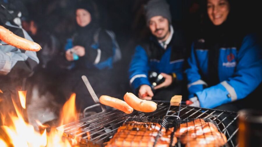 Levi: Northern Lights Snowmobile Tour With Snacks and Drinks