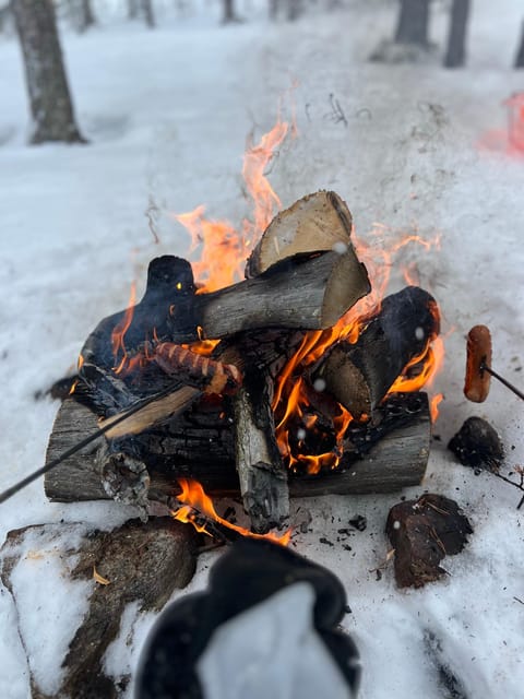 Levi: Snowshoeing and Reindeer Farm Visit